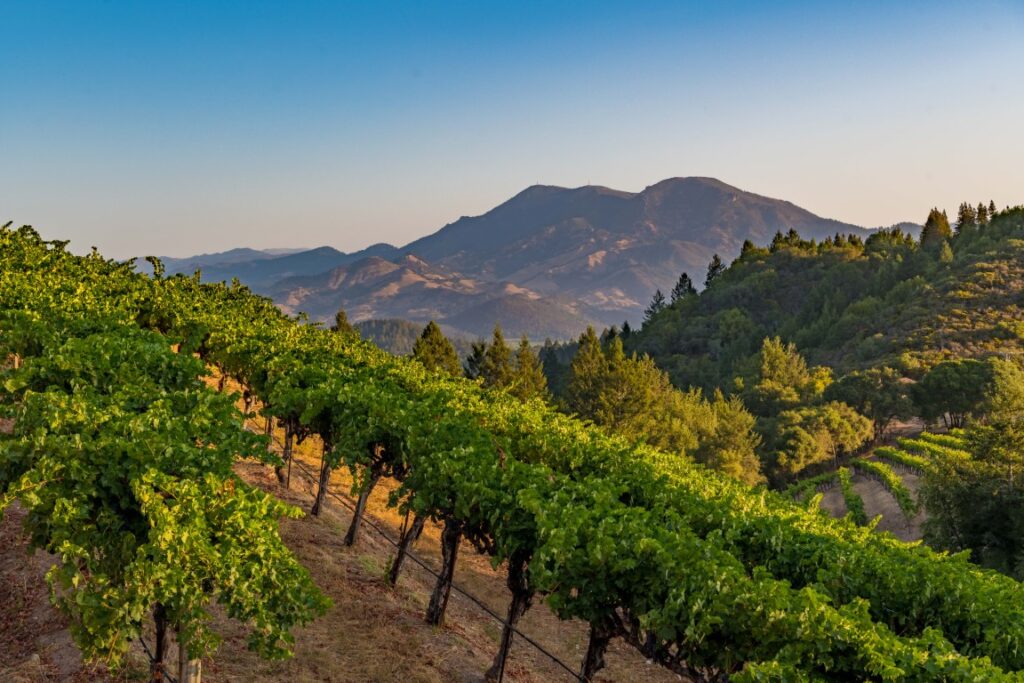 PASSPORT TO PARADISE 