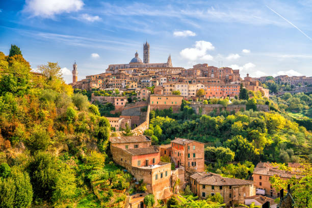 Savor the Soul of Tuscany — Where Culture, Cuisine, and Countryside Collide